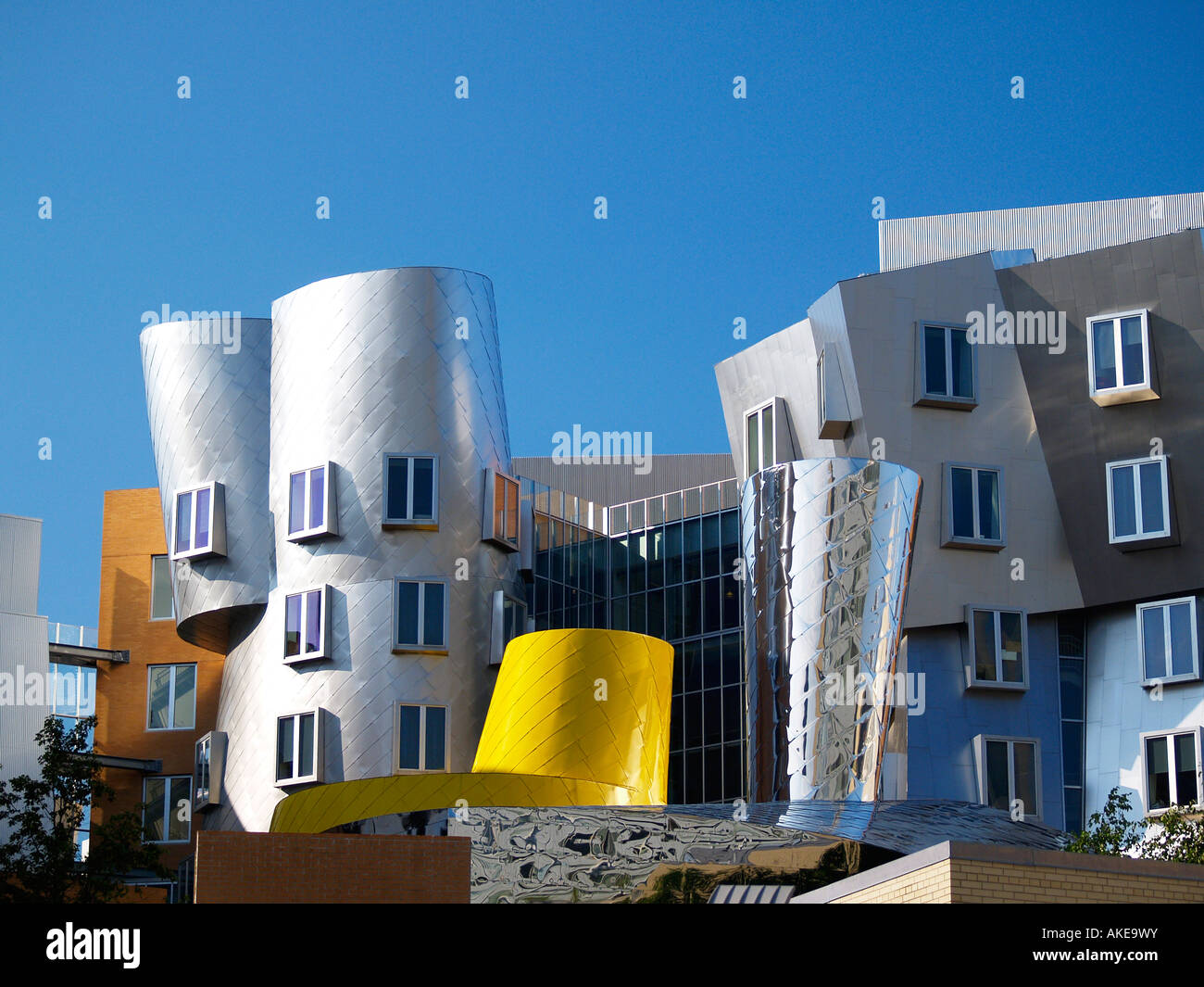 Il centro stata architetto Frank Gehry Massachusetts Institute of Technology Cambridge Massachusetts USA Foto Stock