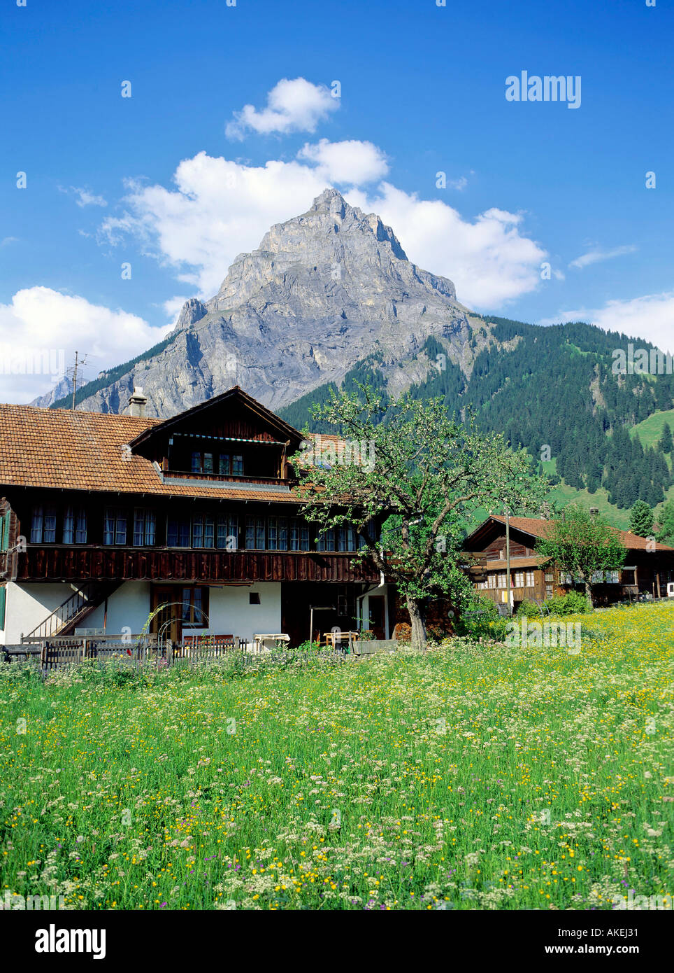 Cottage tradizionale e agriturismi vicino al villaggio di kandersteg mount bire regione di Altopiano bernese swiss alpes switze Foto Stock