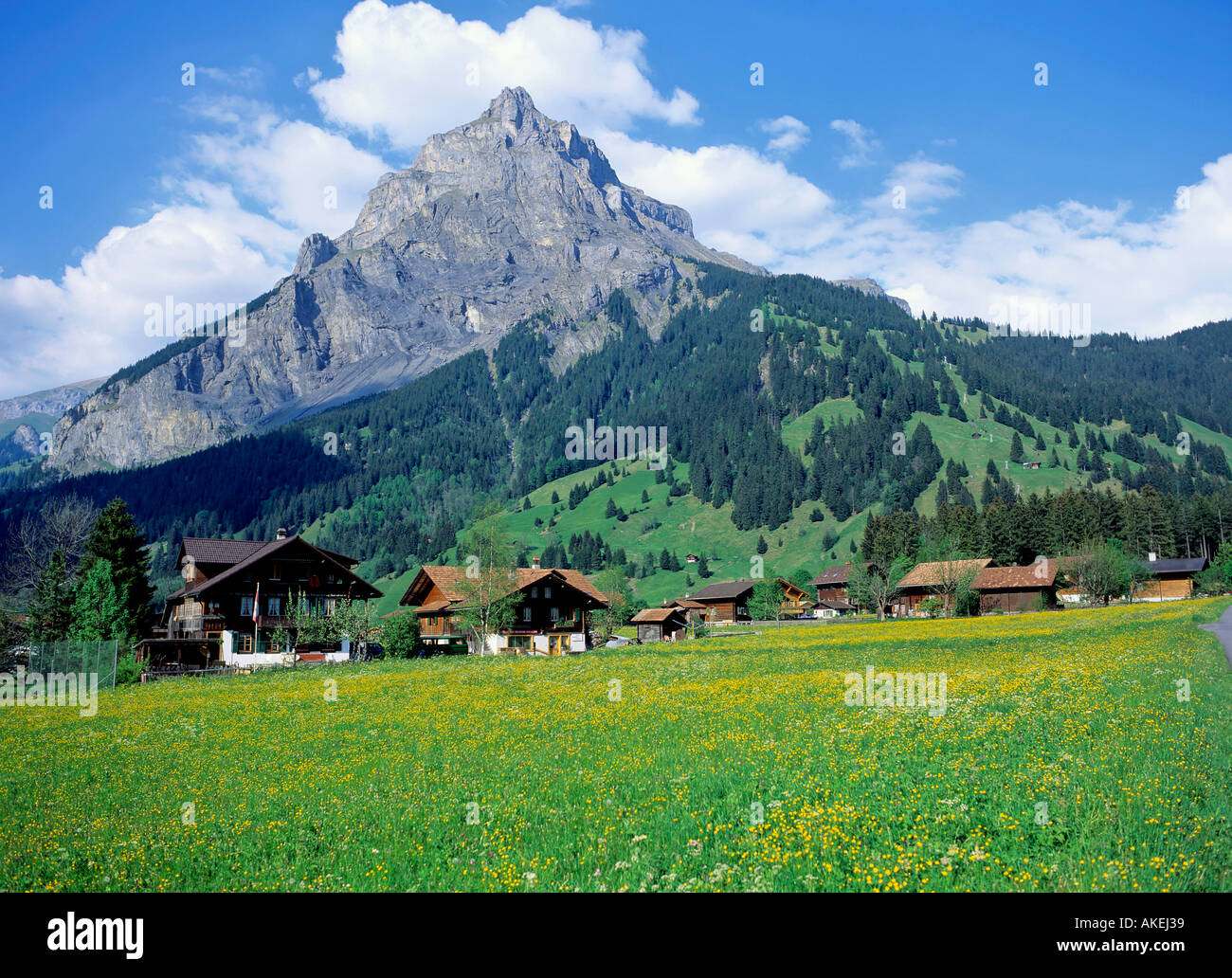 Cottage tradizionale e agriturismi vicino al villaggio di kandersteg mount bire regione di Altopiano bernese swiss alpes switze Foto Stock