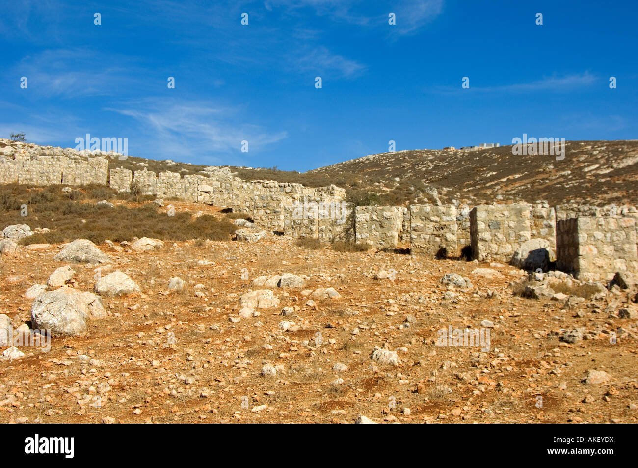 Anti-serbatoi ostruzione blocca , sud del Libano Medio Oriente Foto Stock