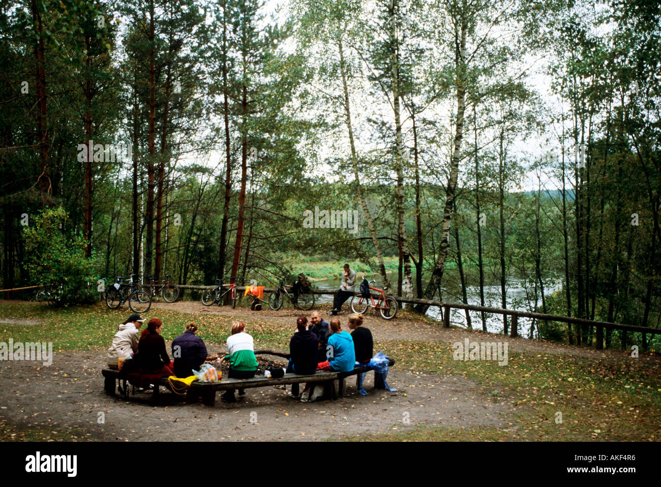 Lettland, Sigulda (Segewold), im Gauja-Nationalpark östlich von Sigulda Foto Stock