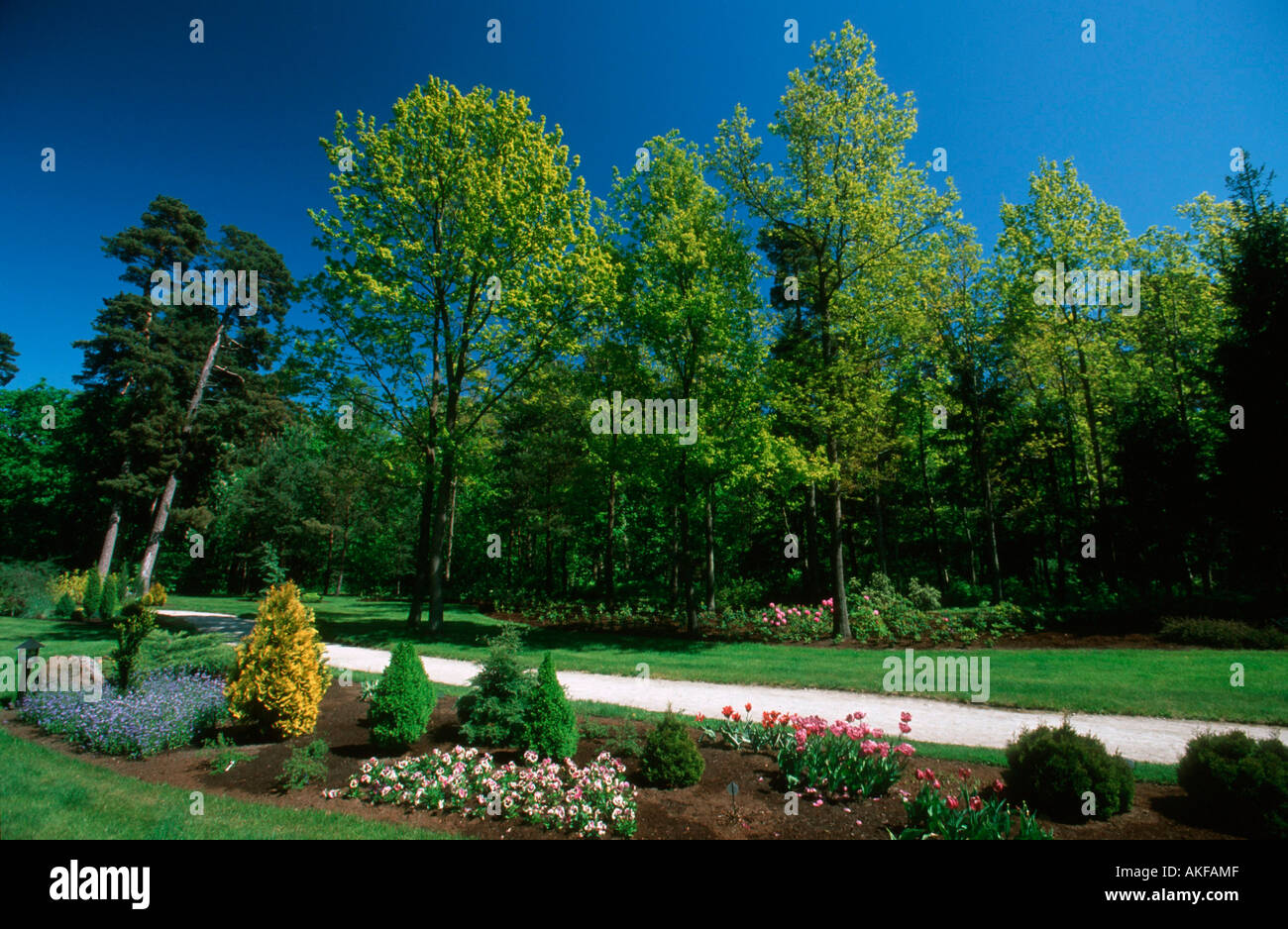 Osteuropa, Litauen, Palanga, Botanischer Garten im Schlosspark Foto Stock