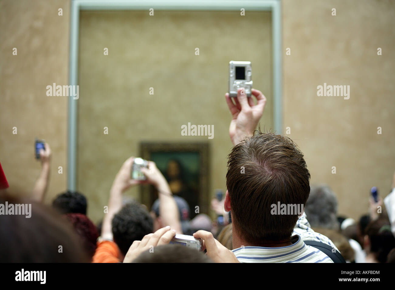 Photgraphy della Mona Lisa, il Louvre, Parigi, Francia Foto Stock
