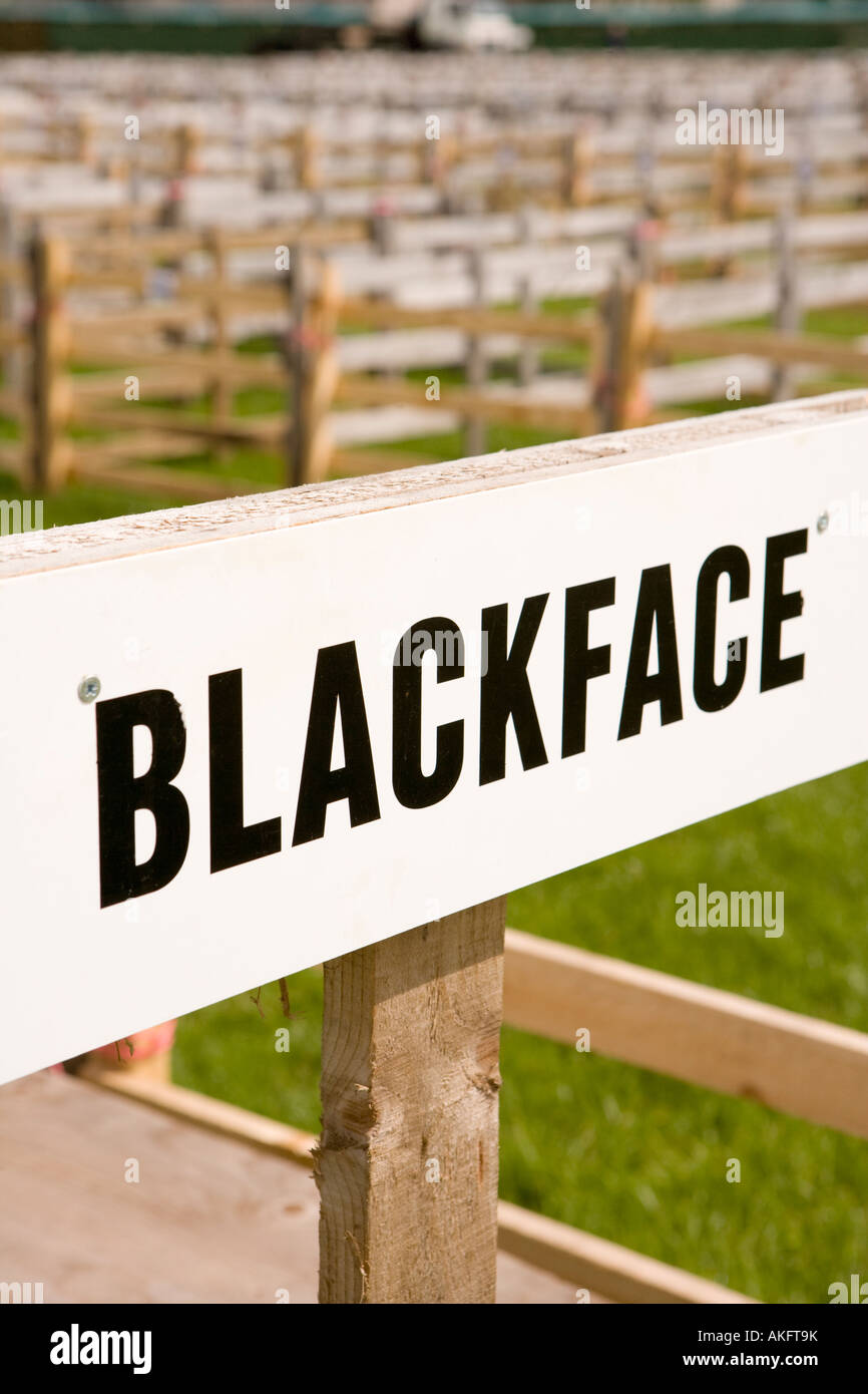 Dumfries e Lockerbie spettacolo agricolo chiuso a bestiame nel 2007 a causa dell'afta epizootica nel Regno Unito Scozia Foto Stock