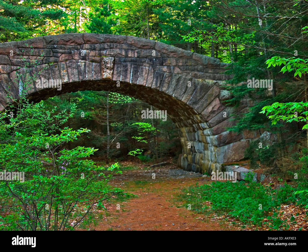 Il ponte di pietra su una strada carrabile nel Parco Nazionale di Acadia nel Maine Foto Stock
