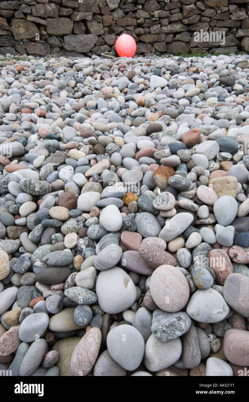 Boa segnaletica arenati su una spiaggia di ciottoli, Tiree, Scozia Foto Stock