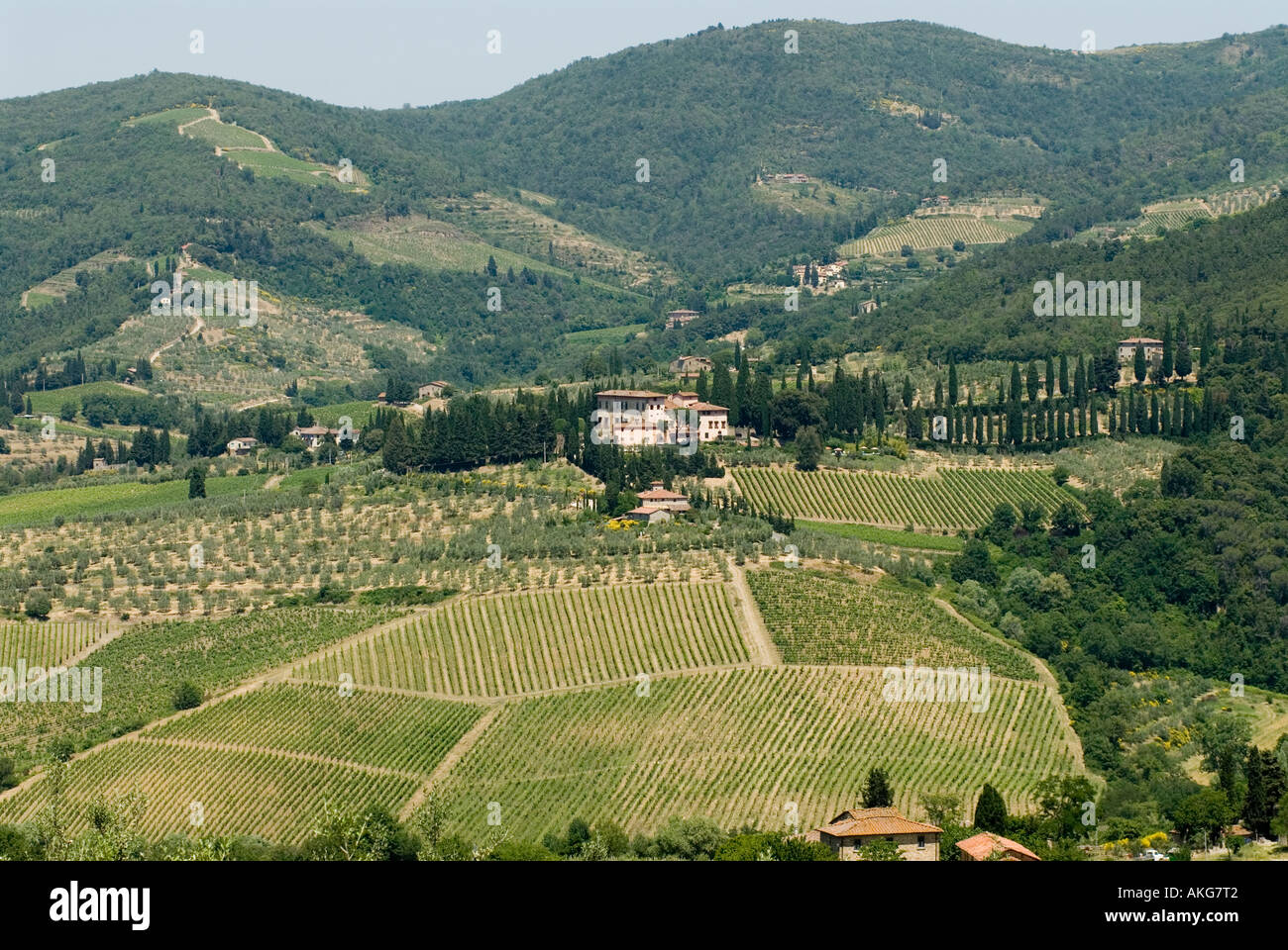 Italia Toscana vigneti nella regione del Chianti vicino a rada IN CHIANTI 2006 Foto Stock