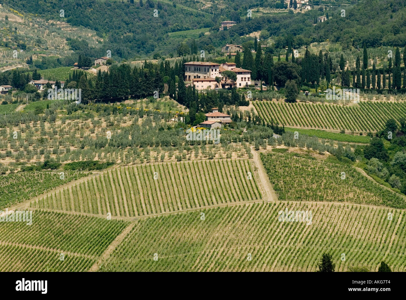 Italia Toscana vigneti nella regione del Chianti vicino a rada IN CHIANTI 2006 Foto Stock