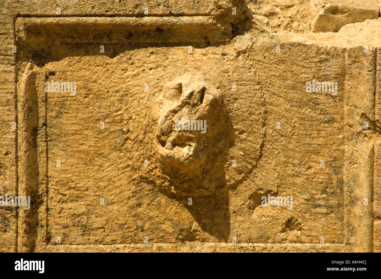 Close up di Lion scultura in Baalbek Foto Stock