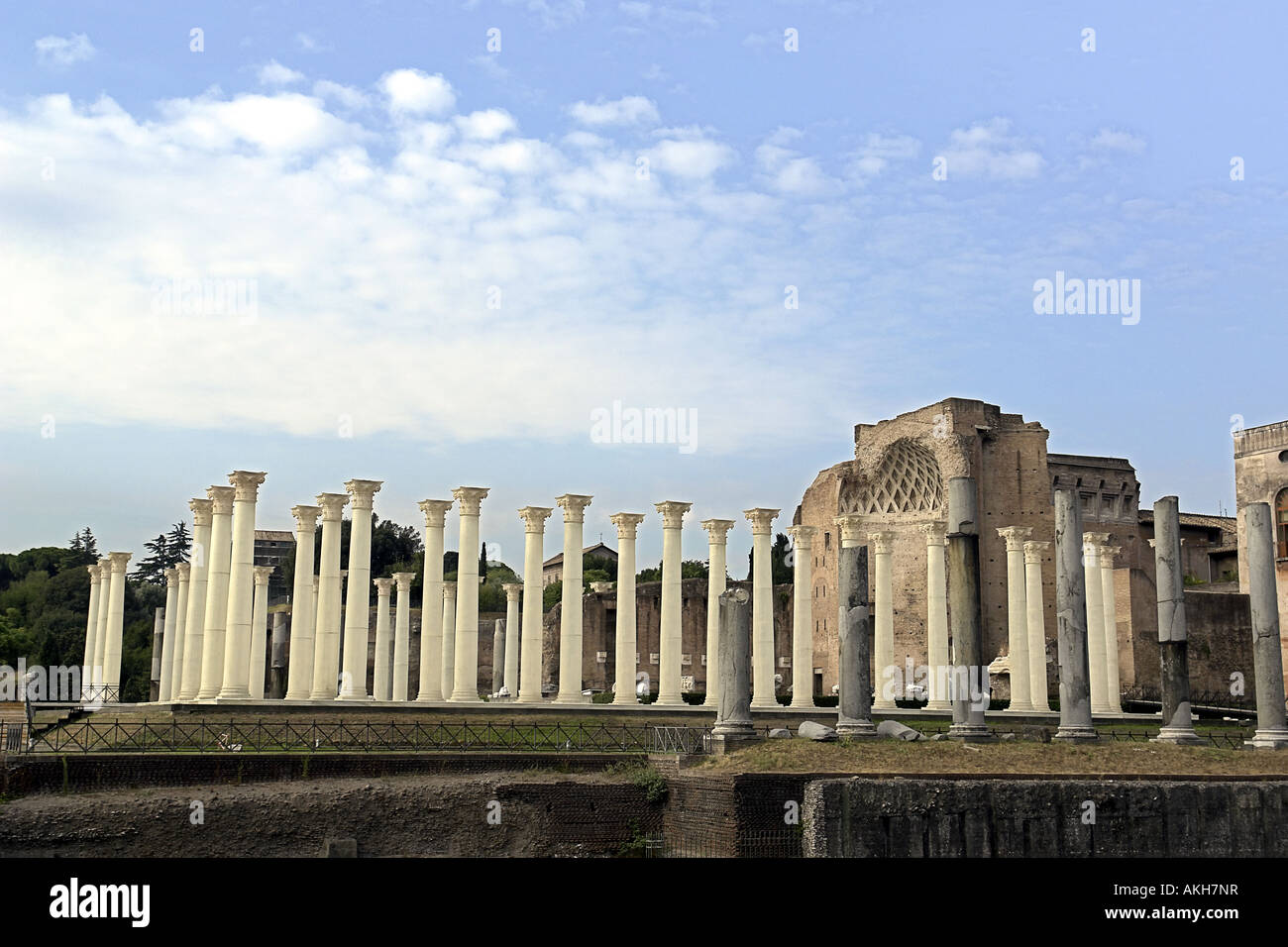 Colonne antiche e recenti finte colonne del Tempio di Venere Tempio di Venere Roman Forum Roma Foto Stock