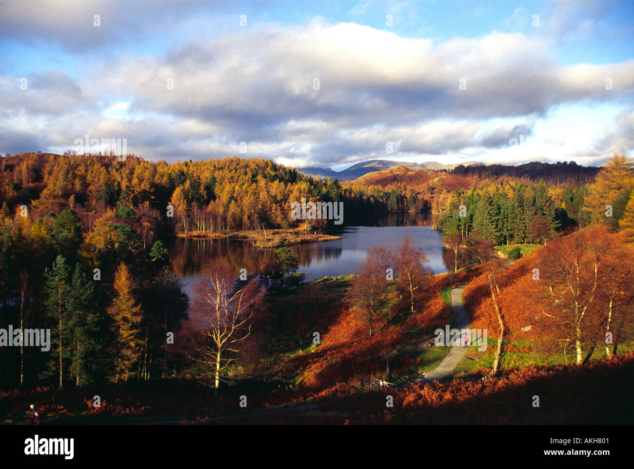 Tarn Howes Lake District UK Foto Stock