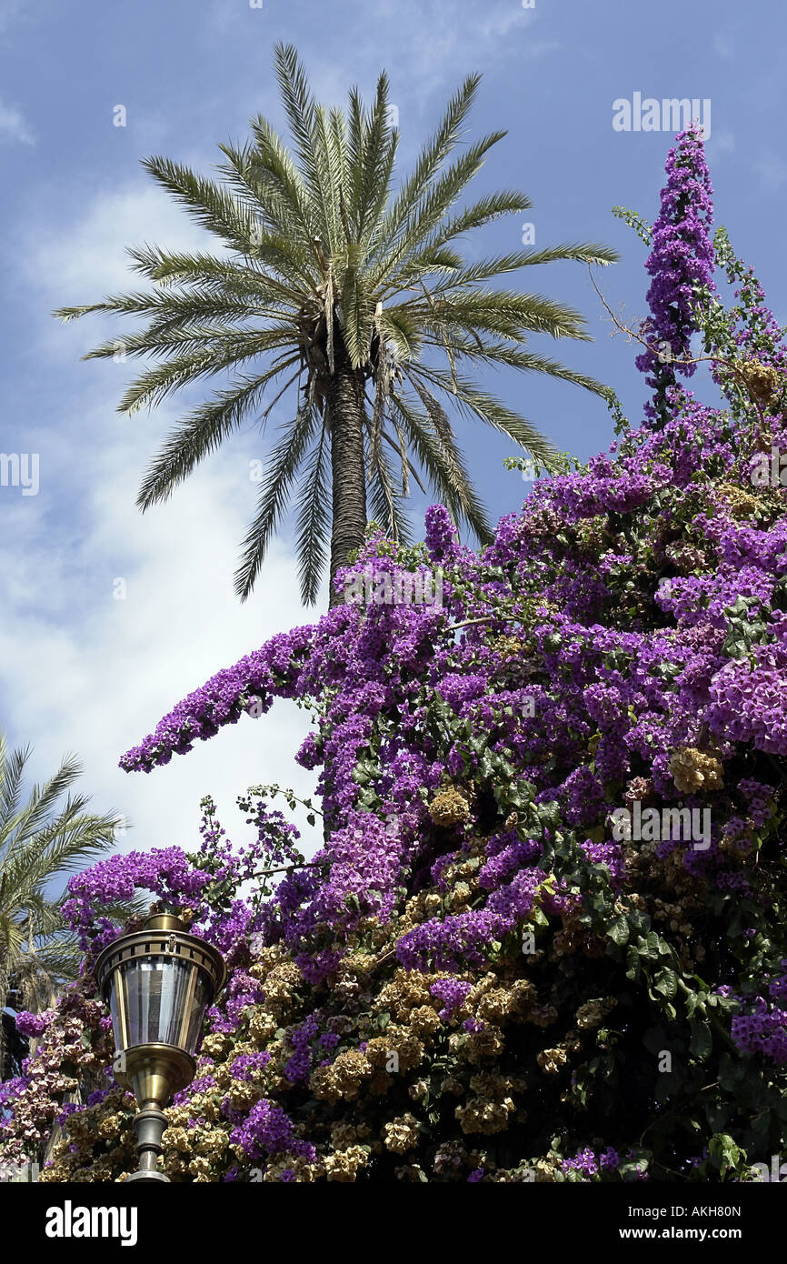 Giardino di Monte Oppio o parco di Traiano Roma Italia Foto Stock