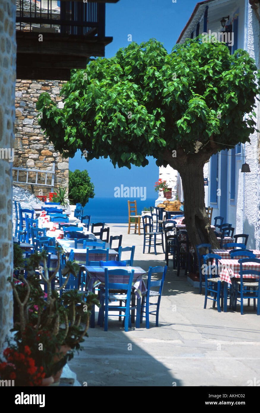 Al Fresco della Taverna Patitiri Città Vecchia Alonissos greco ad Alonissos Sporadi isola del Mar Egeo Grecia UE Unione europea CEE Europa Foto Stock