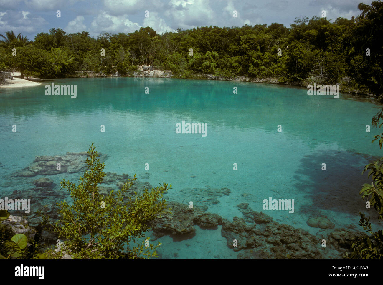 Chankanaab laguna, isola di Cozumel, Quintana Roo Stato, Messico Foto Stock