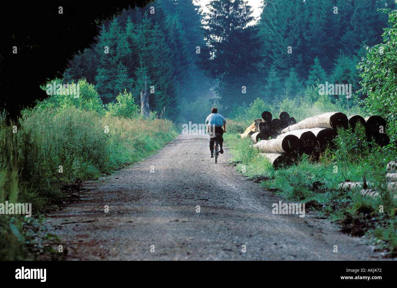 Biker sulla pista forestale Bavaria Foto Stock