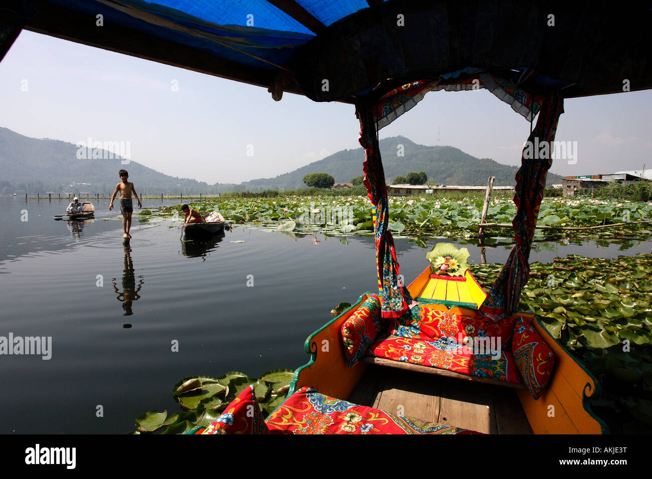 India, Jammu e Kashmir Srinagar, sul Lago Dal Foto Stock