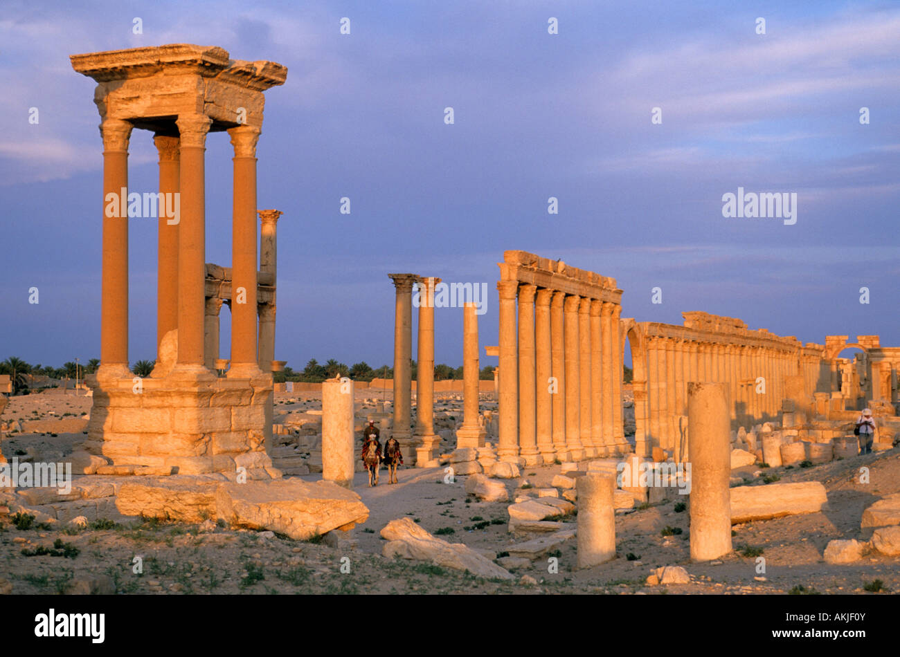 Siria, Palmyra Foto Stock