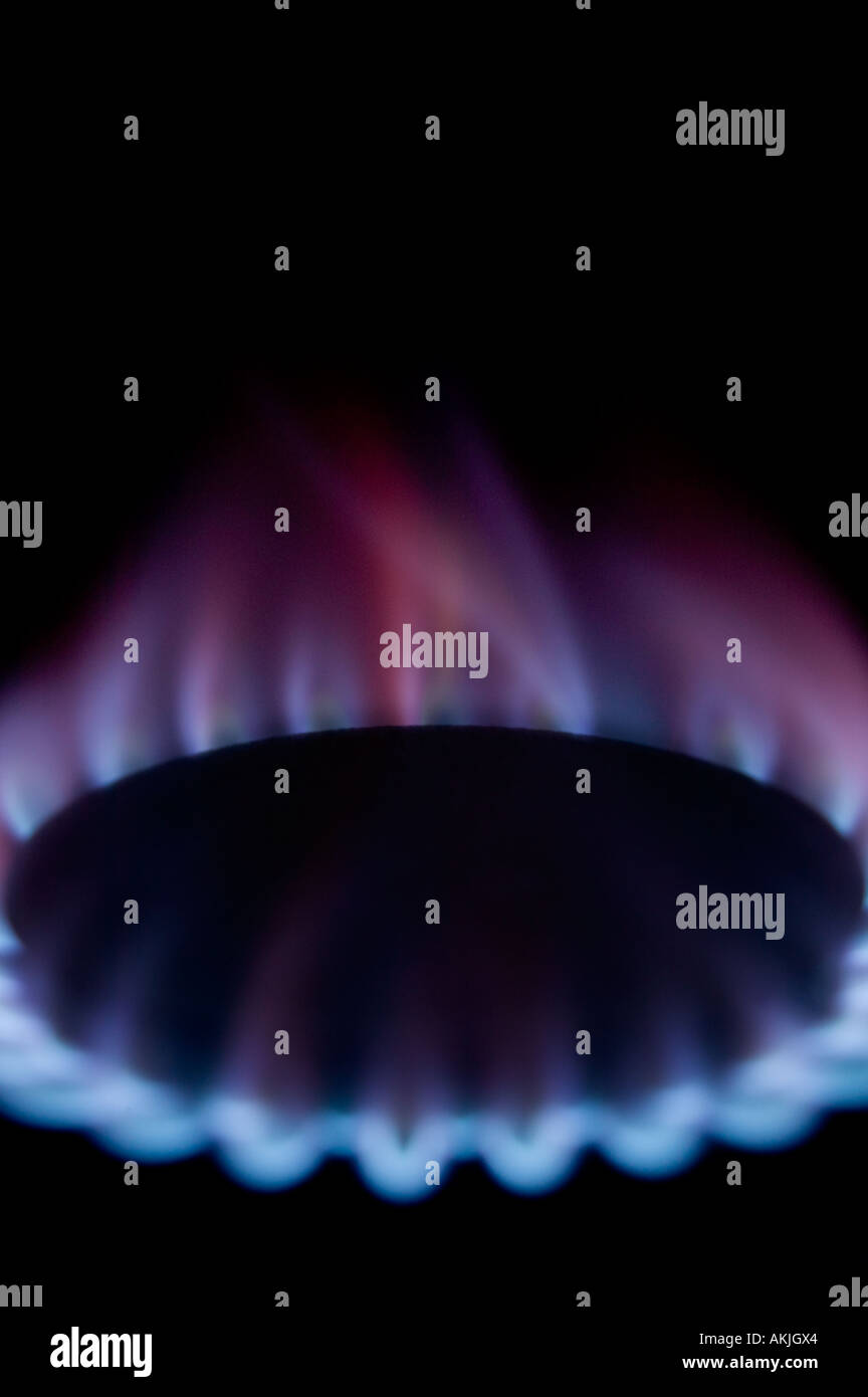 227017 BLUE SEAL 6 Bruciatore Gas Gamma Tappo Top Anello - Foto 4