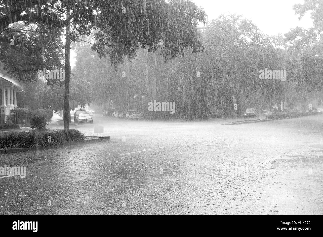 Esplenade Avenue è inondata da una metà luglio temporale Foto Stock