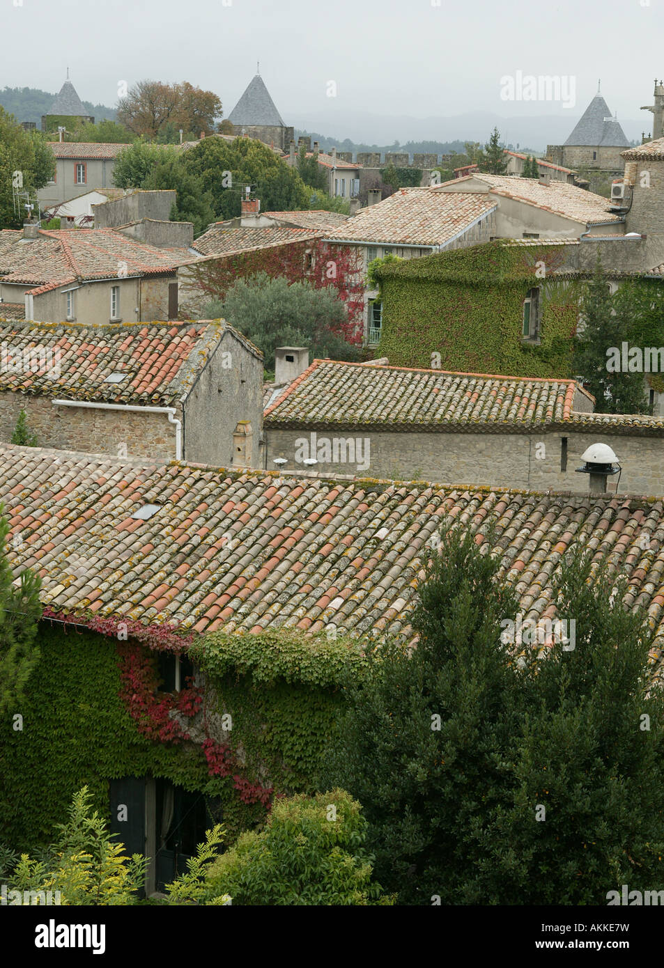 Ardesia vecchi tetti di tegole in Francia Europa mostra il vicino ambiente di vita e la vicinanza di vicini Foto Stock
