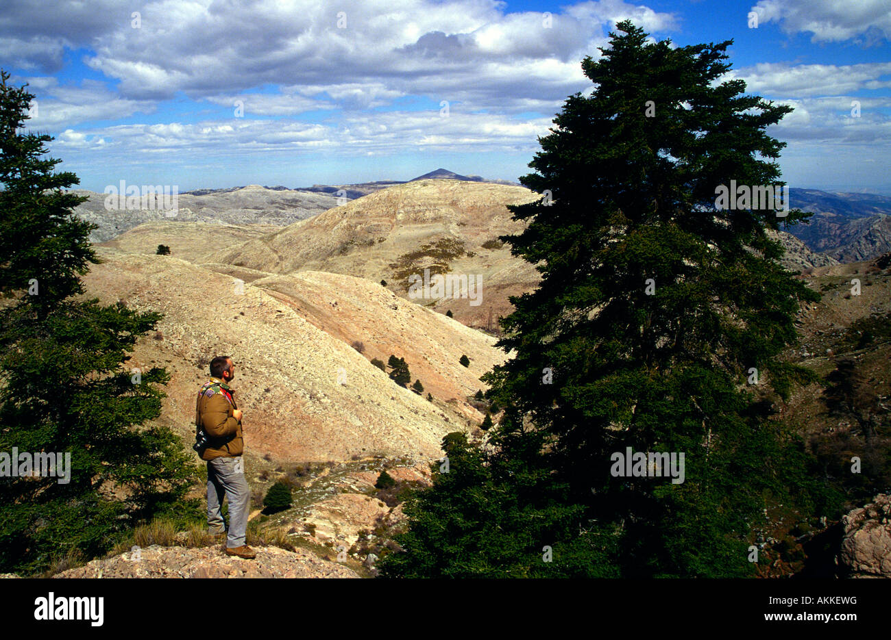 Escursionista ammirando il vecchio spagnolo abete Abies pinsapo Sierra de las Nieves Ronda area della provincia di Malaga Spagna Foto Stock