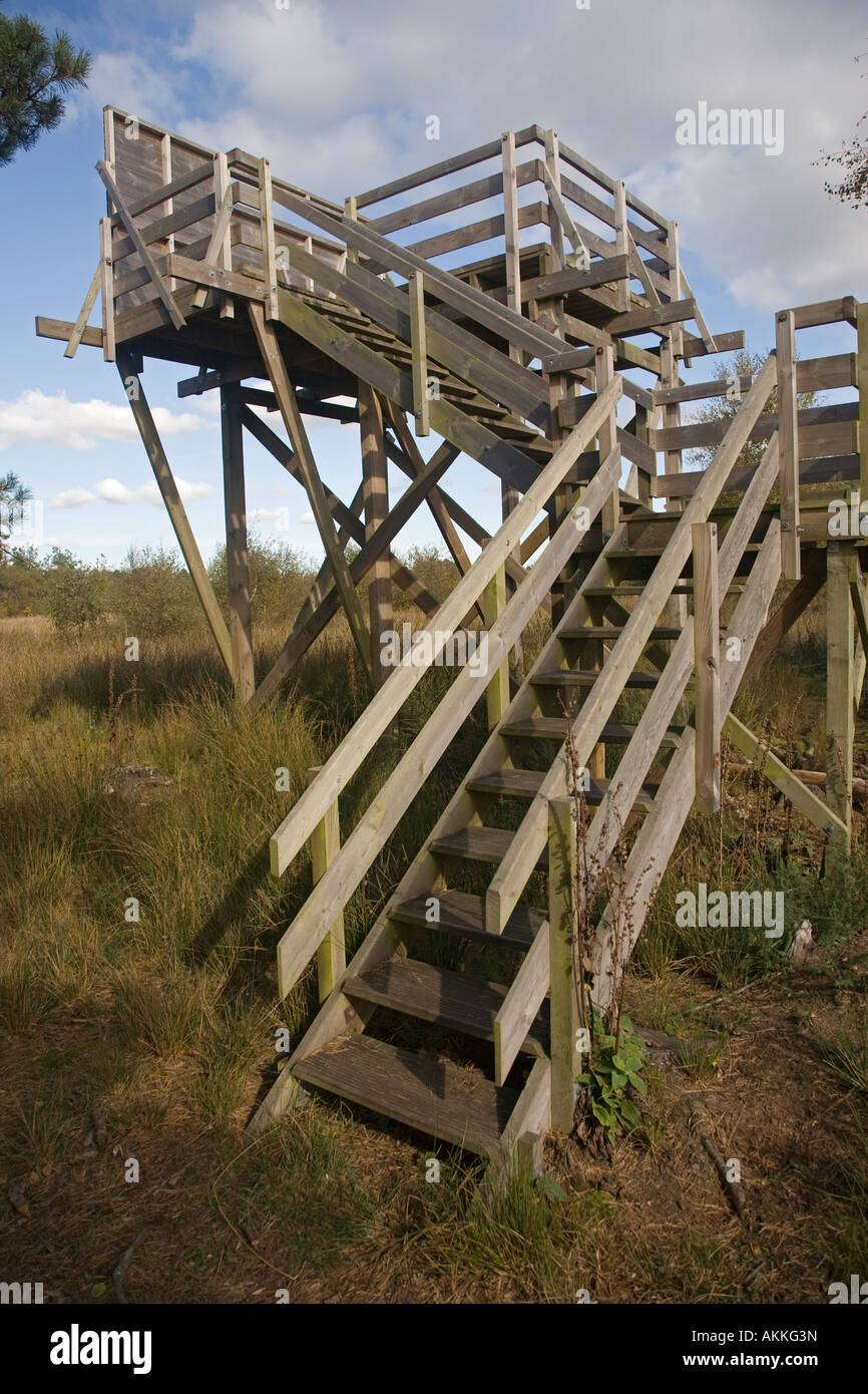 Bird nascondere e torre di avvistamento Skipwith comune natura riserva East Yorkshire Foto Stock