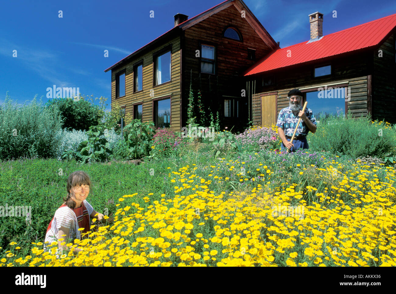 Un passivo e attivo a energia solare casa con giardino fiorito e donna giardinaggio Foto Stock