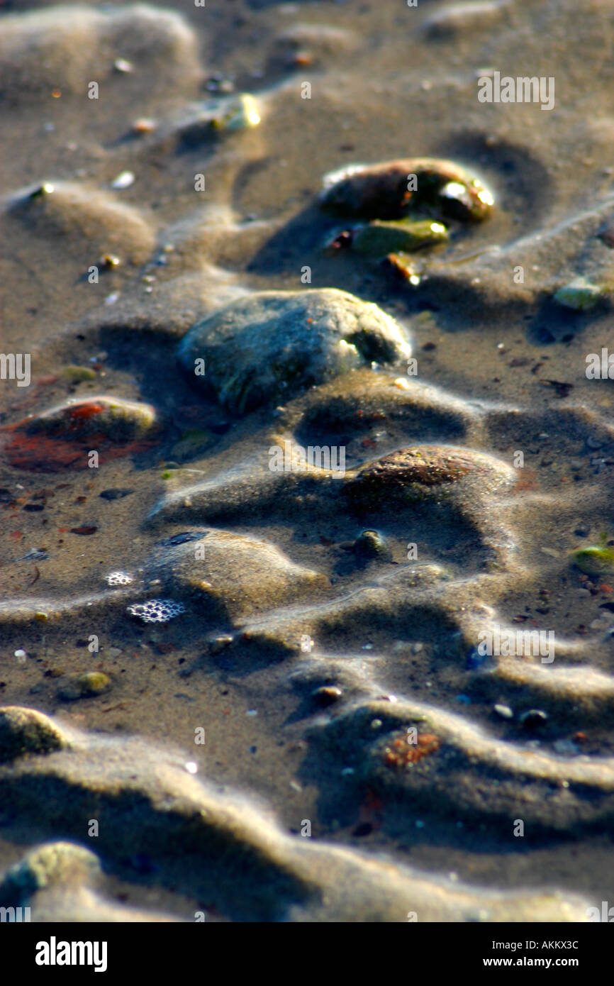 Le conchiglie e ciottoli in acqua poco profonda Foto Stock