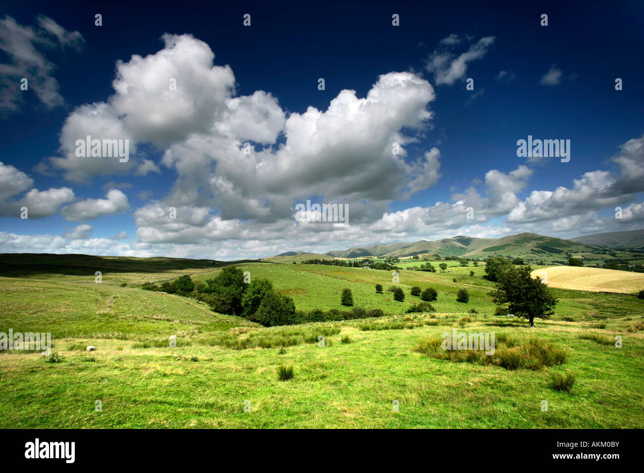 Scena dei terreni agricoli con cielo grande e campi verdi sparati in Cumbria Foto Stock