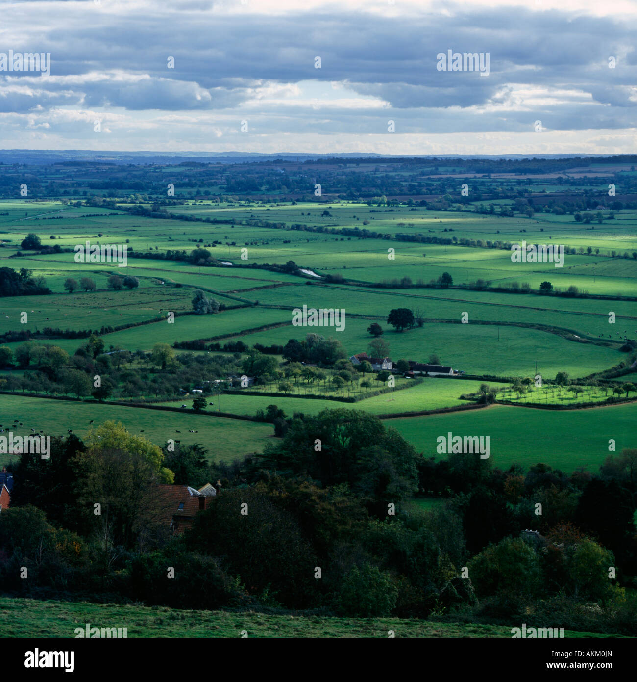 I livelli del Somerset visti da Glastonbury Tor, Somerset, Inghilterra Foto Stock