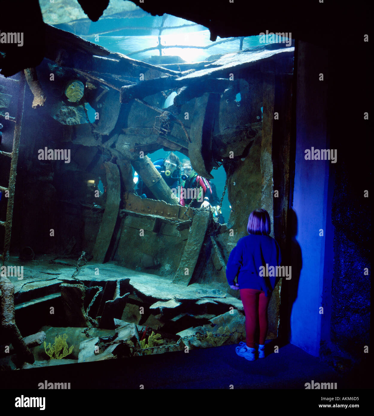 Norfolk Canyon naufragio display all Acquario Virginia Virginia Beach VA Foto Stock