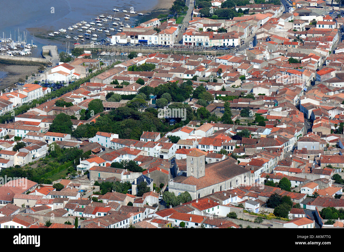 Francia, Charente Maritime, Ile de Re, La Flotte en Re, etichettati Les Plus Beaux Villages de France (vista aerea) Foto Stock