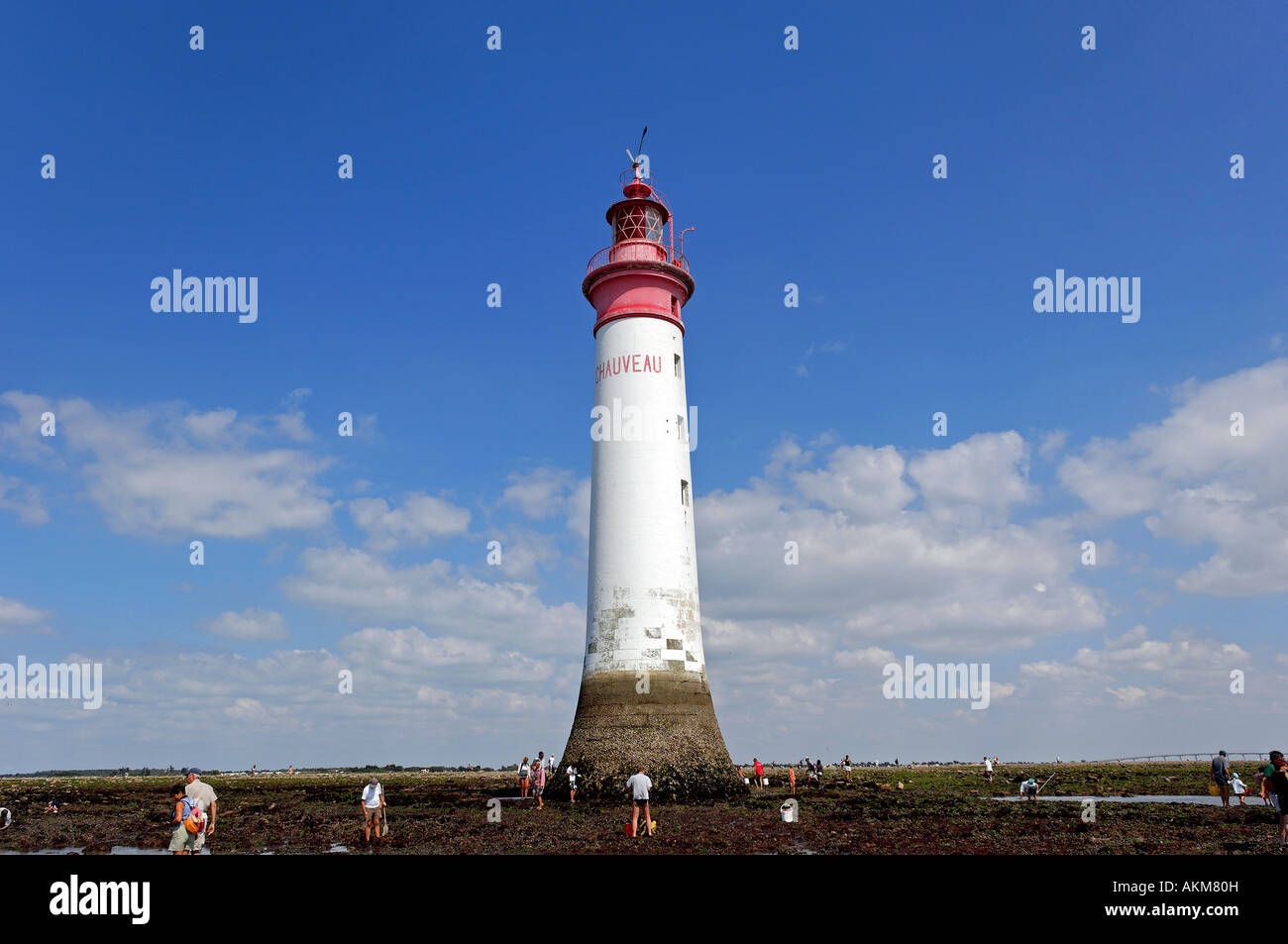 Francia, Charente Maritime, Ile de Re, la Noue Sainte Marie de Re, Pertuis d'Antioche Foto Stock