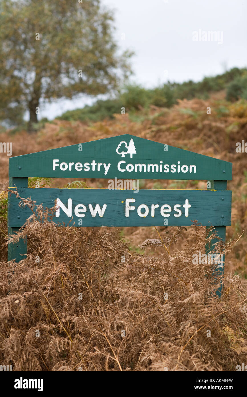 Nuova Foresta, la commissione forestale Foto Stock