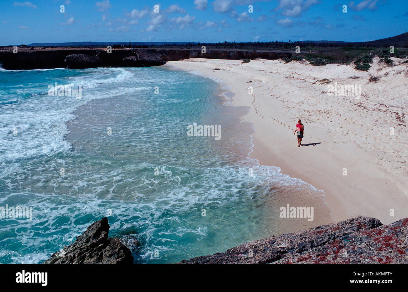Playa Costa Chikitu Antille Olandesi Bonaire Mar dei Caraibi Washington Slagbaai National Park Playa Chikitu Foto Stock