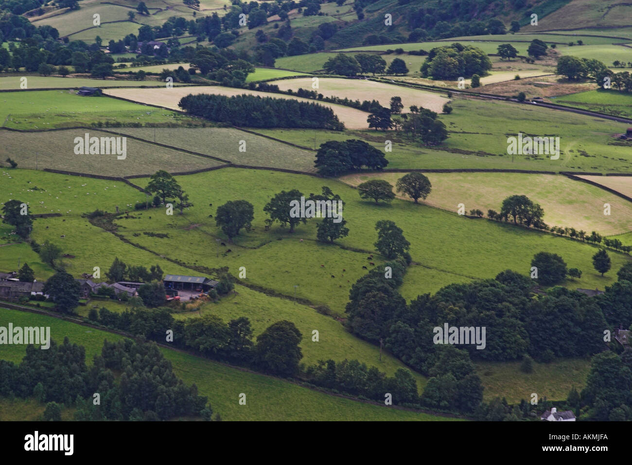 Campi agricoli nel distretto del lago, cumbria, Regno Unito Foto Stock