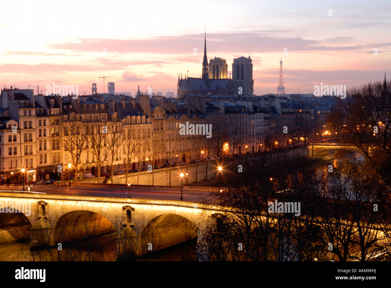 Francia, Parigi, Pont Marie sopra fiume Senna, Ile Saint Louis, la cattedrale di Notre Dame e la Torre Eiffel in background Foto Stock