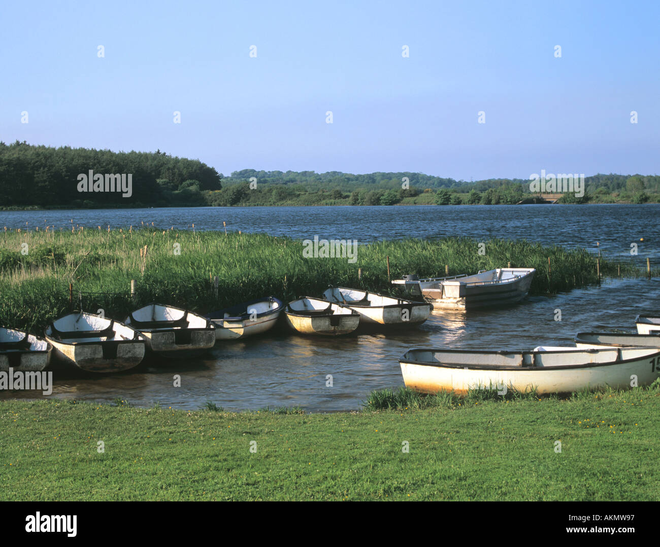 LLANGEFNI Isola di Anglesey North Wales UK guardando attraverso Cefni serbatoio con ormeggiate barche da pesca in primo piano Foto Stock