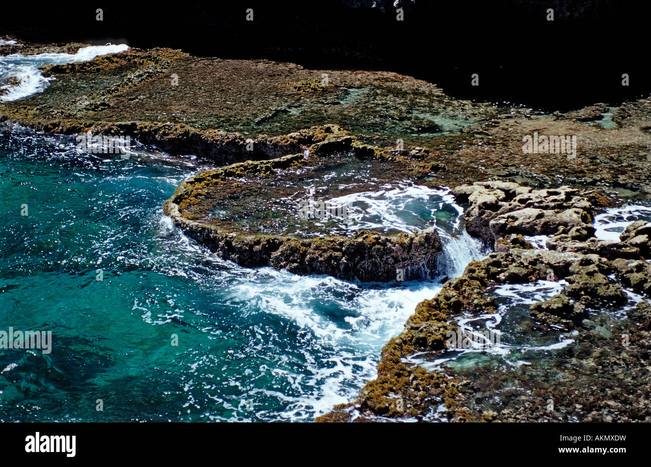 Terrazze in pietra Antille Olandesi Bonaire Mar dei Caraibi Washington Slagbaai National Park Boka Kokolishi Foto Stock