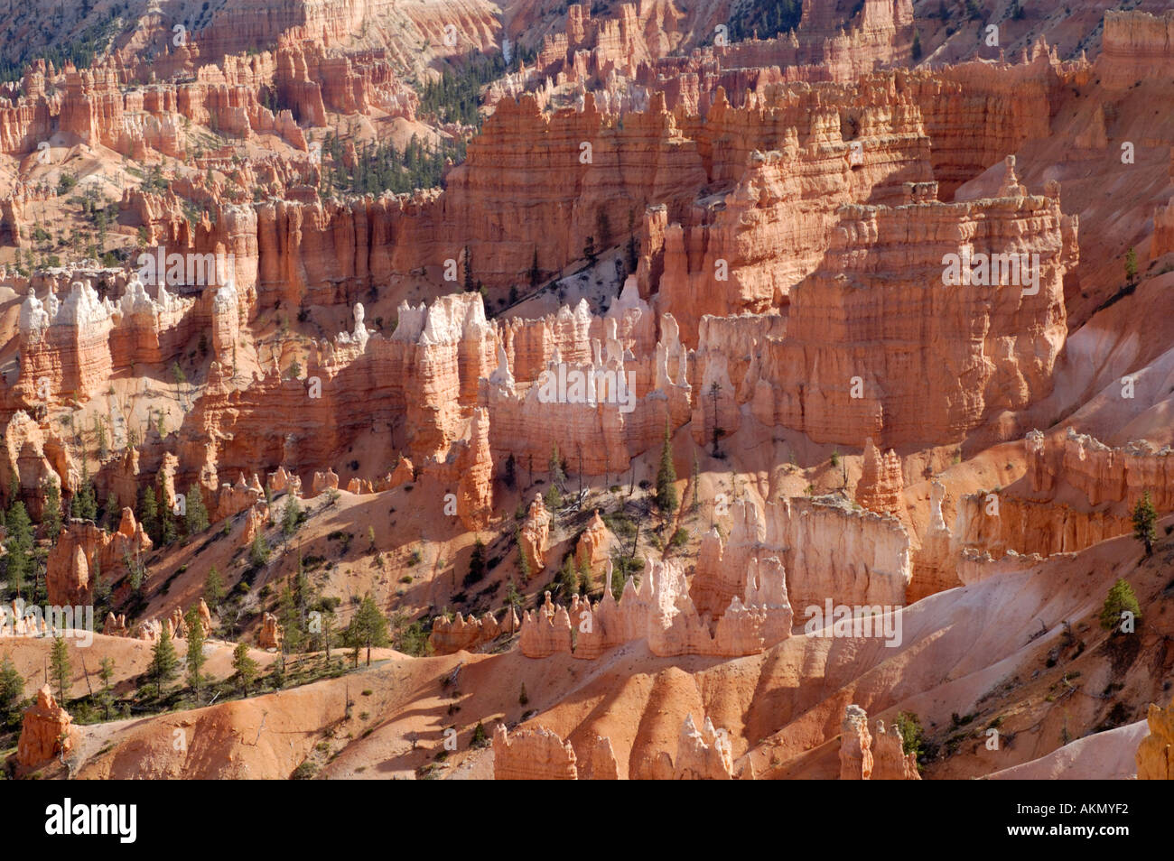 Bryce Canyon Park - Utah Stati Uniti Foto Stock