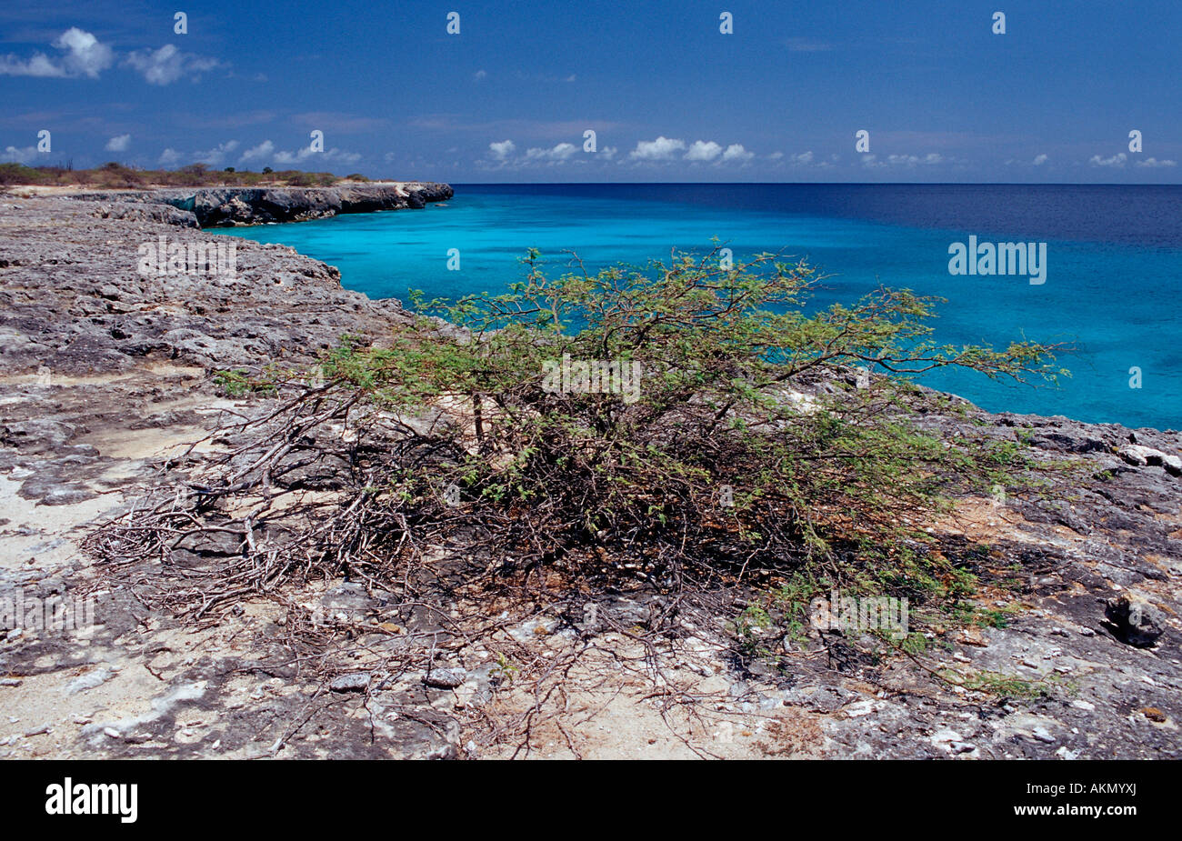 Coastel scenic di Bonaire Antille Olandesi Bonaire Mar dei Caraibi Washington Slagbaai National Park Wayaka Foto Stock