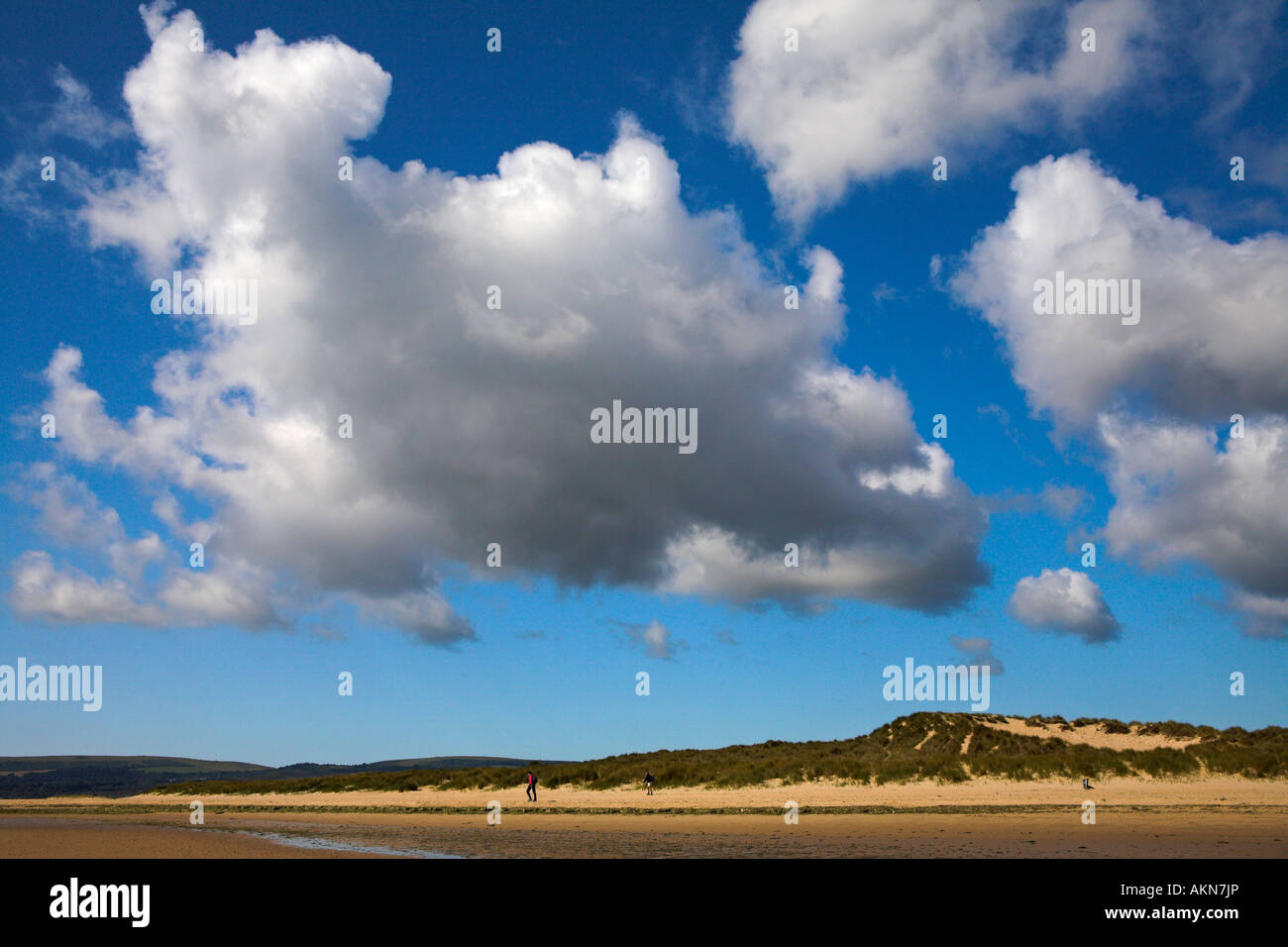 Giorno di estate sulle dune di sabbia di Studland Bay, Dorset Foto Stock