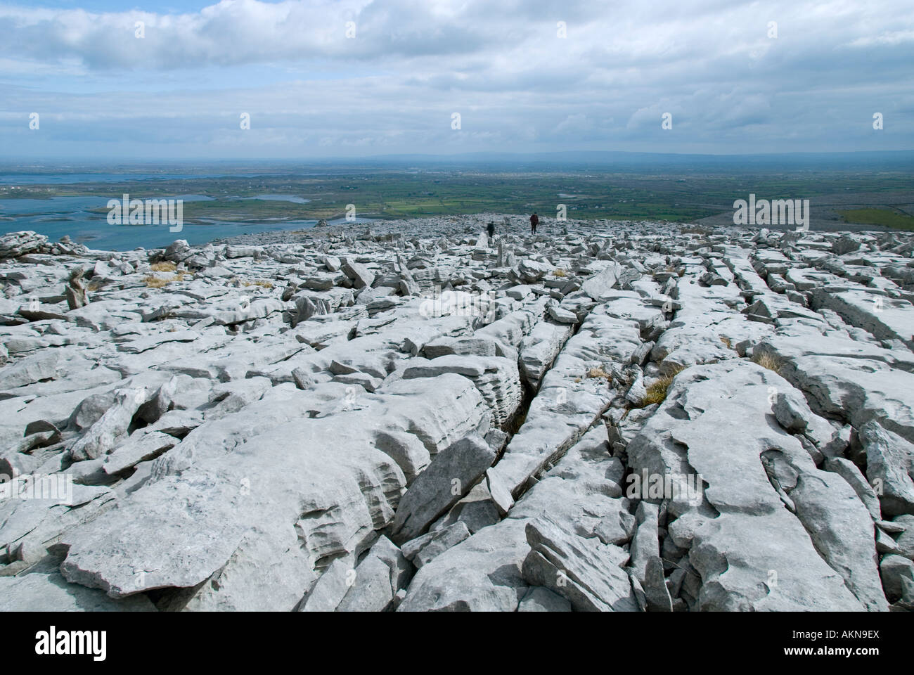 Pavimentazione di pietra calcarea del Burren, County Clare, Irlanda Foto Stock
