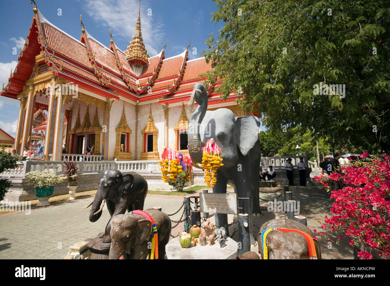 Gli elefanti nei pressi di Ubosot Wat Chalong Phuket Thailandia Foto Stock