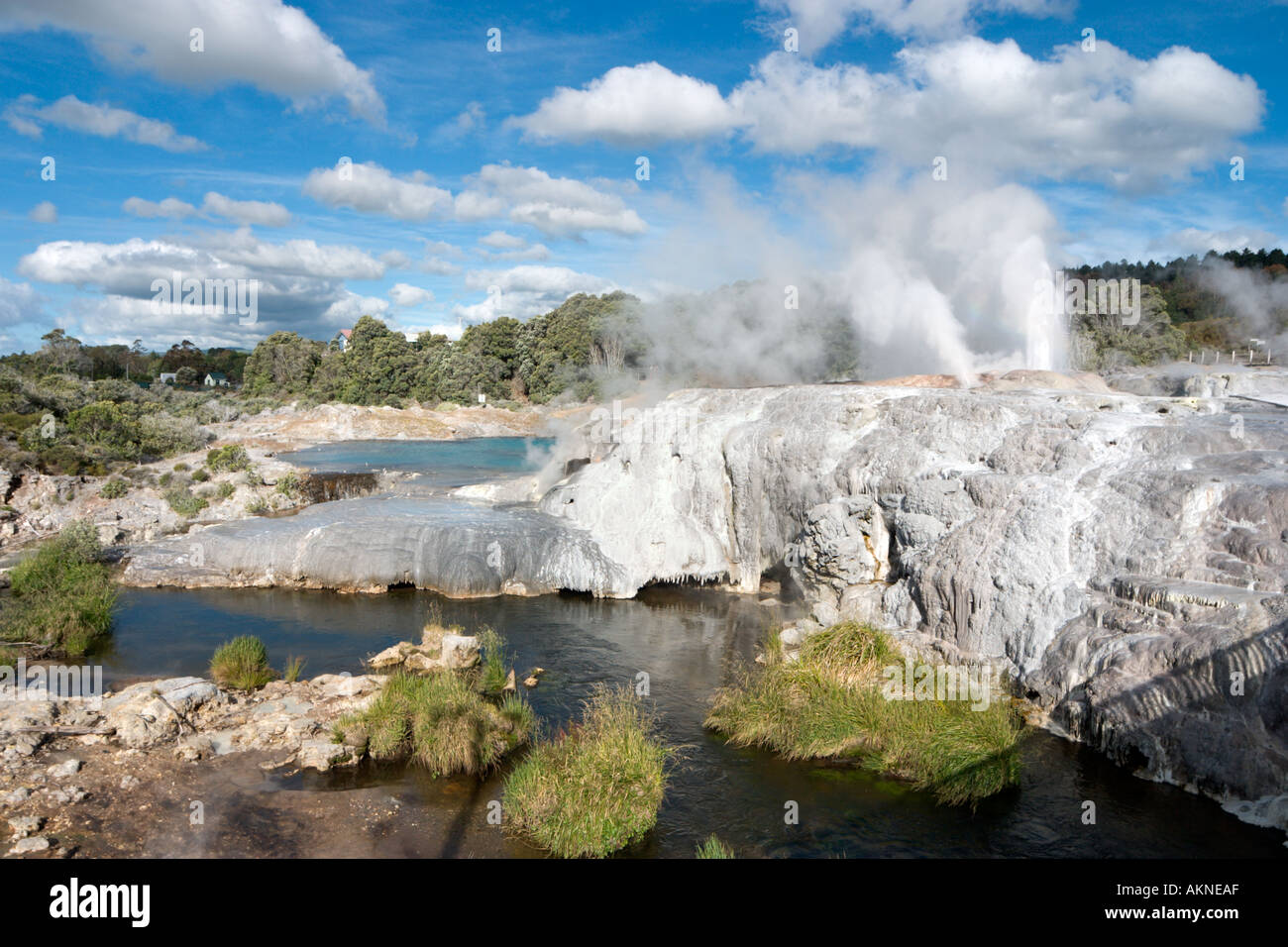 Pohutu E I Geyser Di Piume Del Principe Di Galles, Whakarewarewa, Rotorua, Isola Del Nord, Nuova Zelanda Foto Stock