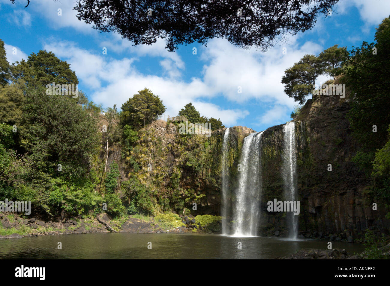 Whangarei Falls, Whangarei, Northland e North Island, Nuova Zelanda Foto Stock