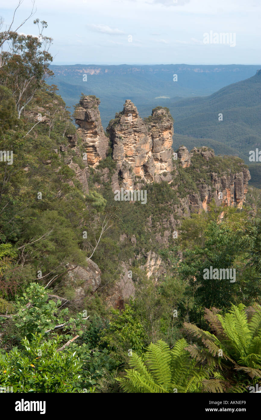 Le tre sorelle dal punto di eco, Blue Mountains, Nuovo Galles del Sud, Australia Foto Stock