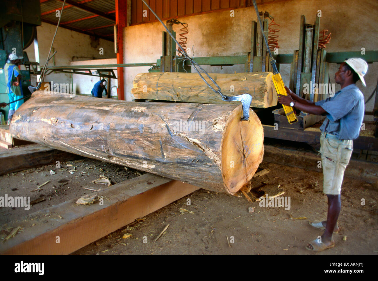 Un lavoratore manovre di un log in una segheria Foto Stock