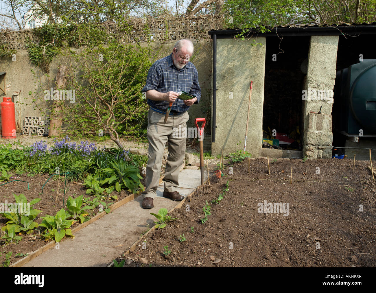 Uomo di lettura PACCHETTO DI SEMENTI IN GIARDINO IN PRIMAVERA Foto Stock