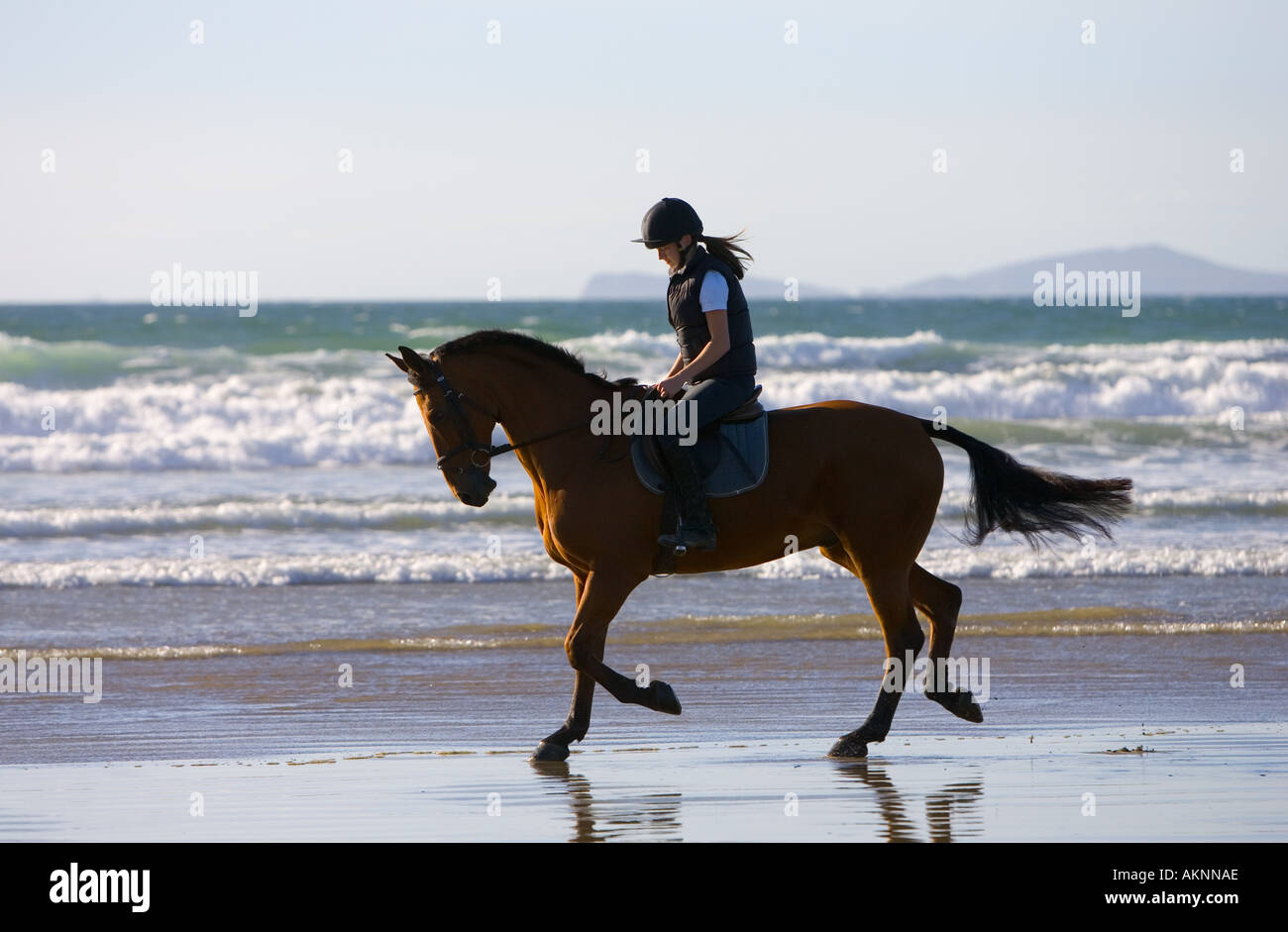 Giovane donna corse una baia a cavallo su vasta Oasi Beach Pembrokeshire Wales Regno Unito Foto Stock